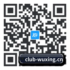 系统版 iOS 二维码